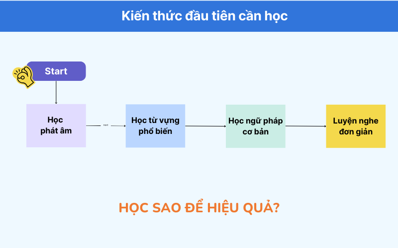 học tiếng anh