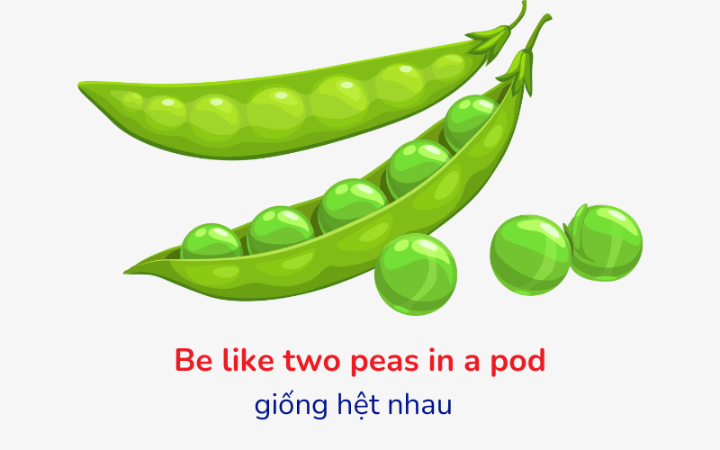 idiom rau củ